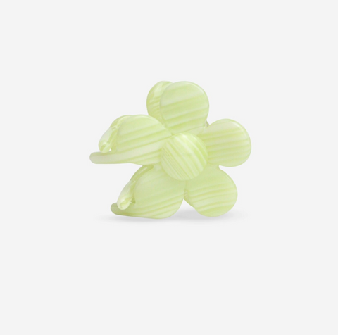 Pinces à cheveux - Sasstie
